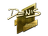 Sticker | denis (Gold) | Boston 2018