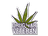 Sticker | Drug War Veteran