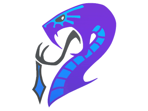 Image of an item