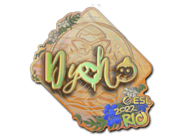 Image of an item