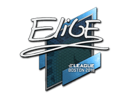 Sticker | EliGE | Boston 2018