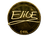 Sticker | EliGE (Gold) | Katowice 2019