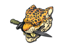 Image of an item