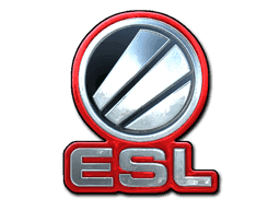 Image of an item