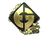 Sticker | Evil Geniuses (Gold) | Rio 2022