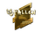 Sticker | FalleN (Gold) | Boston 2018