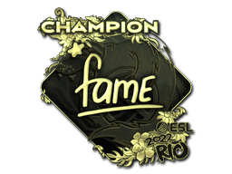 Image of an item