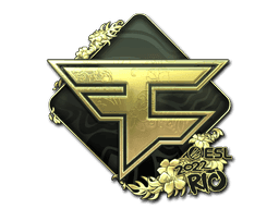 Image of an item