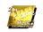 Sticker | flamie (Gold) | MLG Columbus 2016