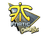 Sticker | Fnatic (Foil) | Cologne 2015