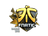 Sticker | Fnatic (Foil) | Cologne 2016