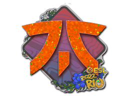 Image of an item