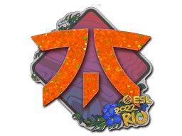 Sticker | Fnatic (Glitter) | Rio 2022