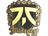 Sticker | fnatic (Gold) | Budapest 2025