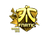 Sticker | Fnatic (Gold) | Cologne 2016