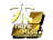 Sticker | Fnatic (Gold) | MLG Columbus 2016