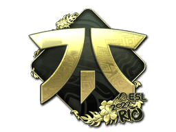 Image of an item