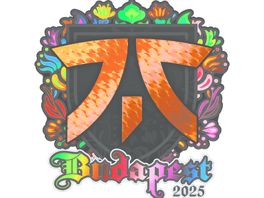 Sticker | fnatic (Holo) | Budapest 2025