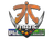 Sticker | Fnatic (Holo) | Krakow 2017