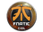 Sticker | Fnatic | Katowice 2019