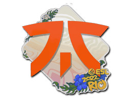 Sticker | Fnatic | Rio 2022