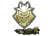 Sticker | G2 Esports (Gold) | Antwerp 2022