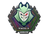 Sticker | G2 Esports (Holo) | London 2018