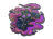 Sticker | Get Smoked (Holo)