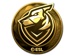 Image of an item