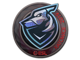 Image of an item
