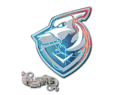 Image of an item