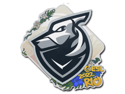 Image of an item