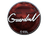 Sticker | GuardiaN (Foil) | Katowice 2019