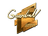 Sticker | GuardiaN (Gold) | Boston 2018