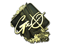Image of an item