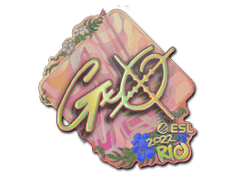 Image of an item