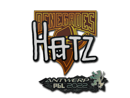 Sticker | hatz | Antwerp 2022