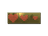 Sticker | Health (Gold)