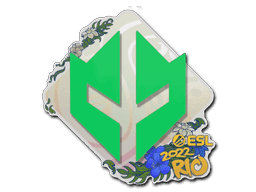 Image of an item