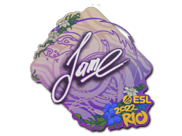 Image of an item