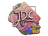 Sticker | JDC | Rio 2022