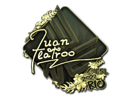 Image of an item