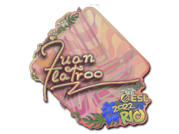 Image of an item