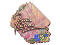 Sticker | juanflatroo (Holo) | Rio 2022