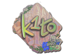 Image of an item