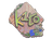 Sticker | k1to (Holo) | Rio 2022