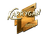 Sticker | karrigan (Gold) | Boston 2018