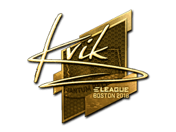 Image of an item