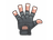 Sticker | Lefty (T)