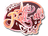 Sticker | Let's Roll-oll